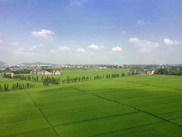 土地规划-临朐县2015年度高标准基本农田建设项目勘察测绘