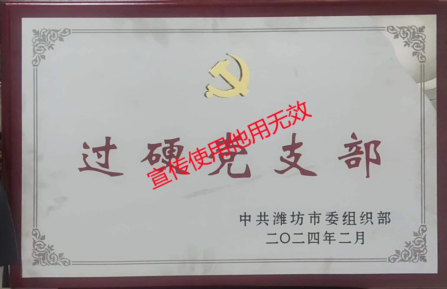 潍坊市过硬党支部