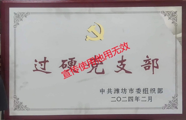 潍坊市过硬党支部