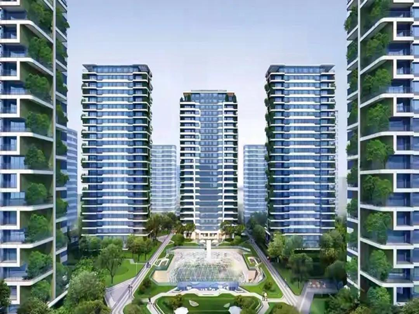 全过程控制-大有世家·未来家园（北区）工程（2#、3#、5#、6#）